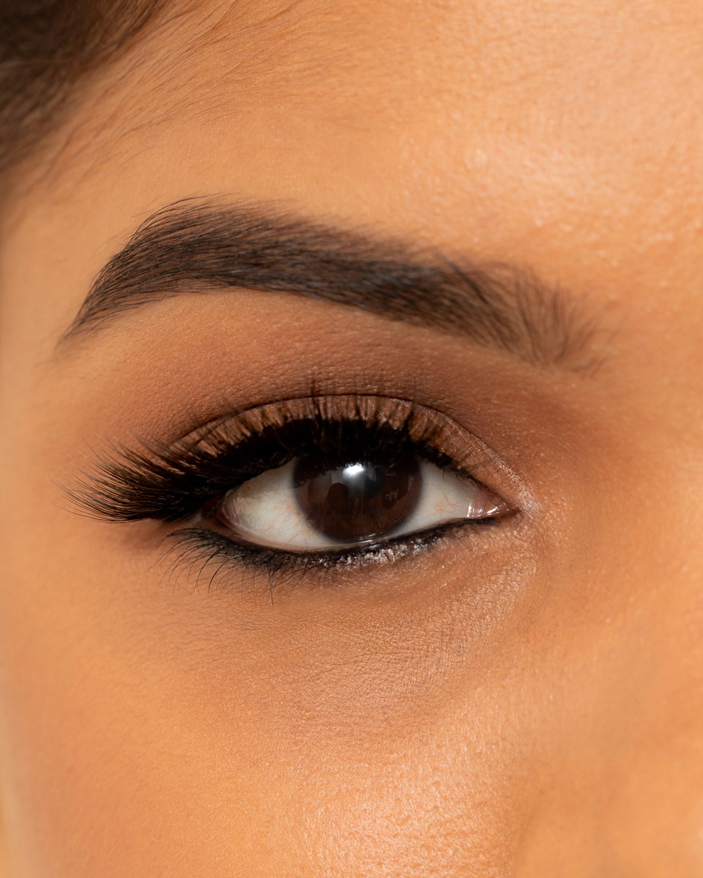 Fiza fluttery lashes showcasing bold yet natural volume for subtle glamour and eye enhancement.
