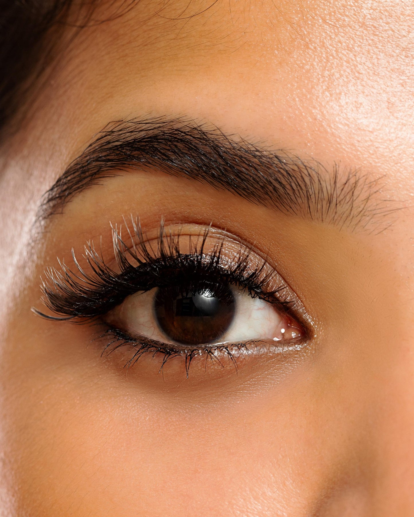 Aisha, the bold dramatic lash with full volume and an invisible band, delivering 15–20 wears of luxurious lash impact for statement-making eyes.