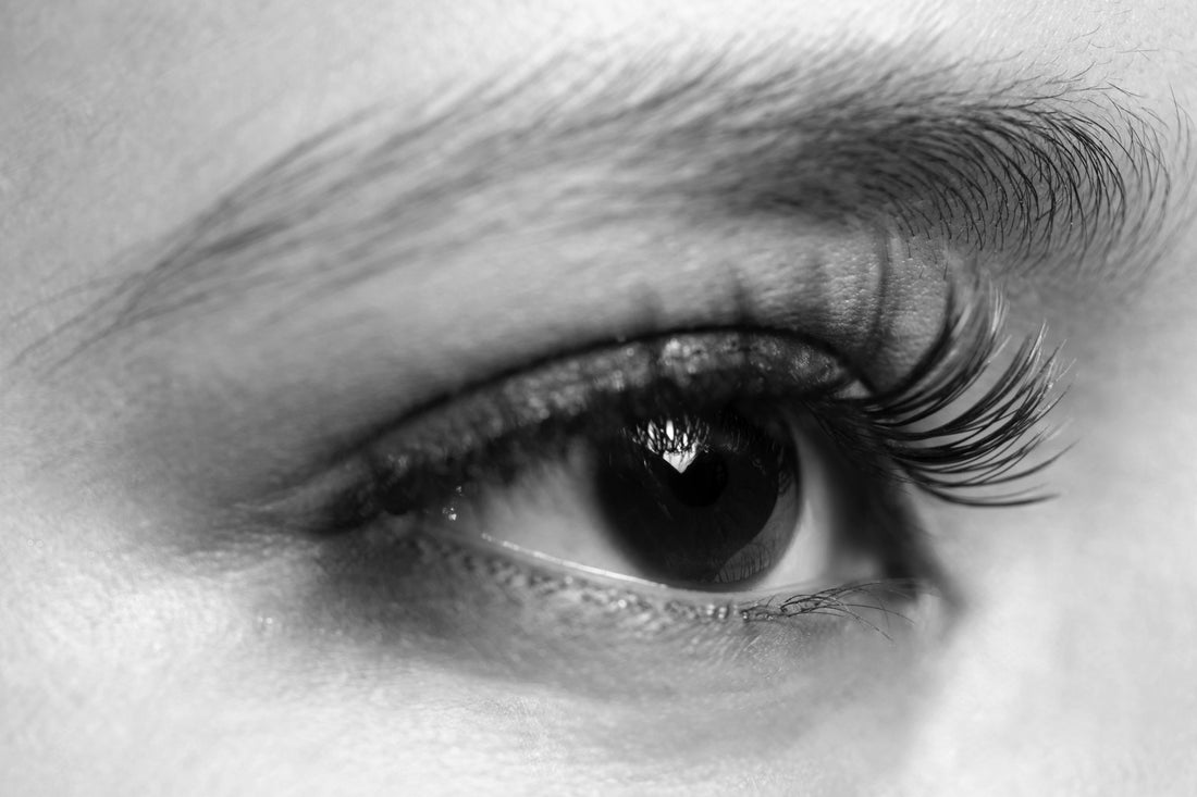 The Art of Cleaning Your False Lashes